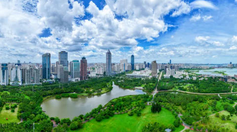 World Free Zones Organization Congress Theme Unveiled