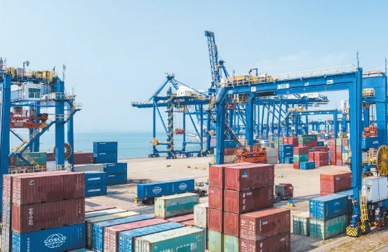Hainan FTP Value-Added Processing Tops CNY 12.1B